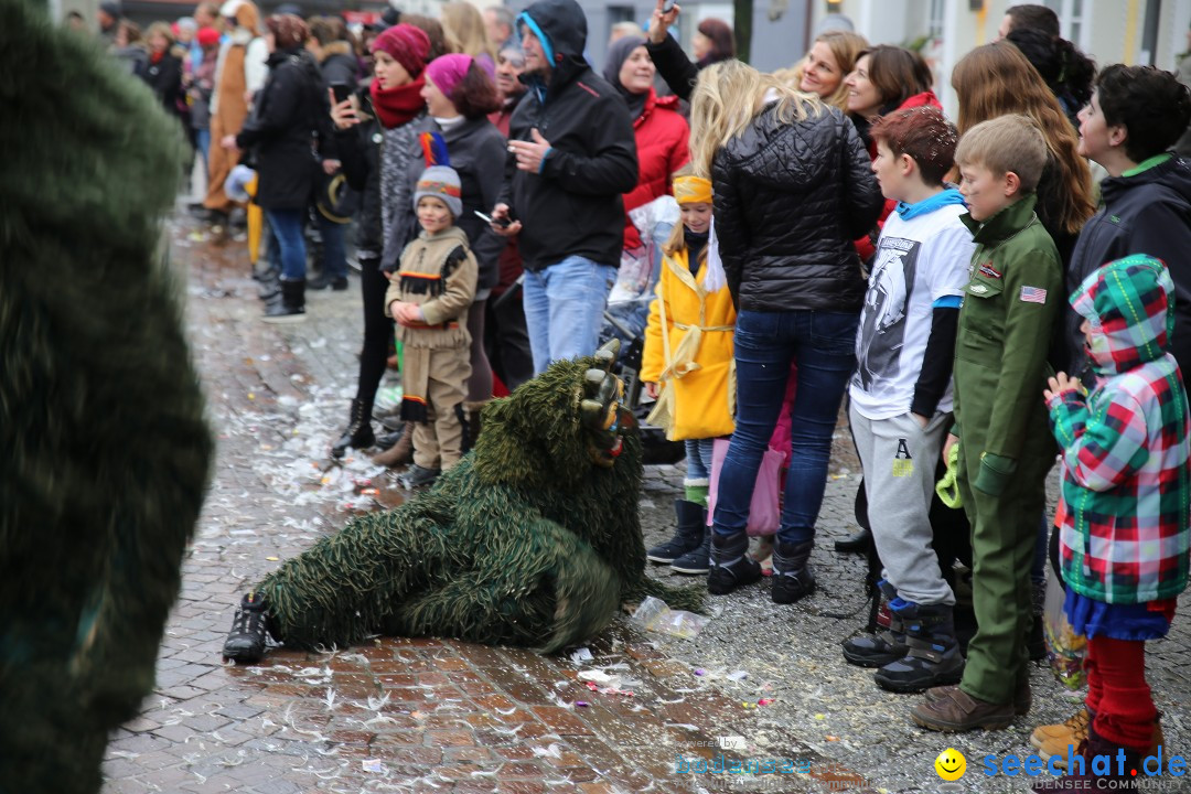 Fasnetsumzug - Fasching: Langenargen am Bodensee, 10.01.2016