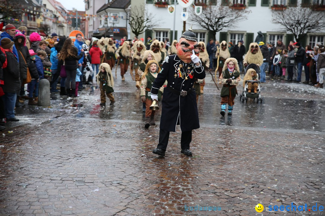 Fasnetsumzug - Fasching: Langenargen am Bodensee, 10.01.2016