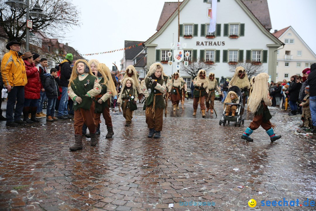 Fasnetsumzug - Fasching: Langenargen am Bodensee, 10.01.2016