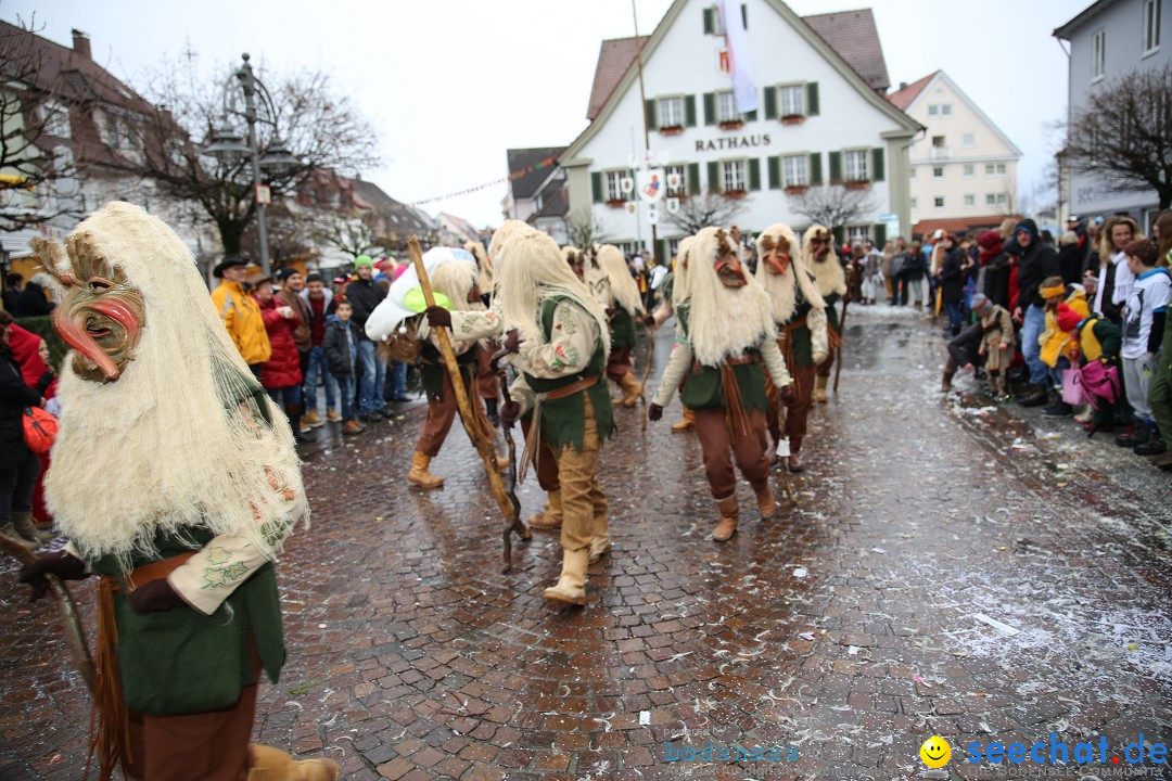 Fasnetsumzug - Fasching: Langenargen am Bodensee, 10.01.2016