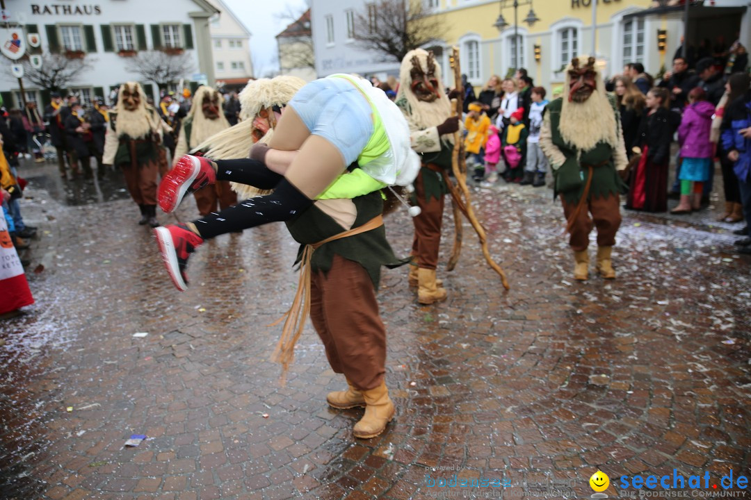 Fasnetsumzug - Fasching: Langenargen am Bodensee, 10.01.2016