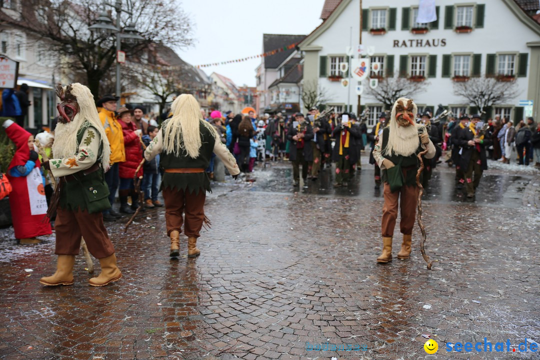 Fasnetsumzug - Fasching: Langenargen am Bodensee, 10.01.2016