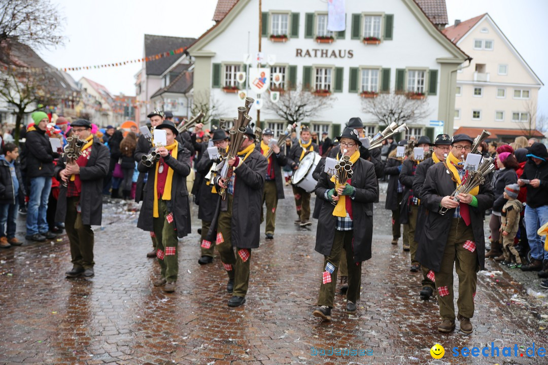 Fasnetsumzug - Fasching: Langenargen am Bodensee, 10.01.2016