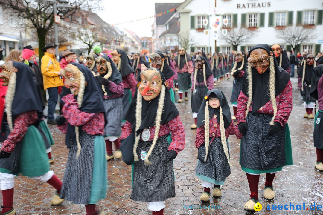 Fasnetsumzug - Fasching: Langenargen am Bodensee, 10.01.2016