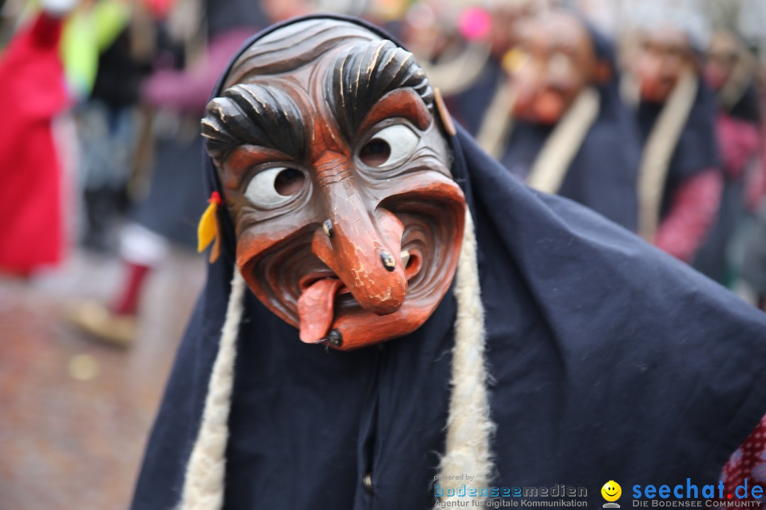 Fasnetsumzug - Fasching: Langenargen am Bodensee, 10.01.2016