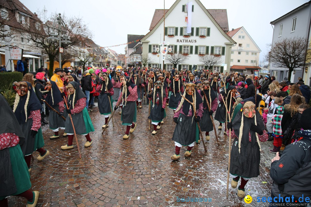 Fasnetsumzug - Fasching: Langenargen am Bodensee, 10.01.2016