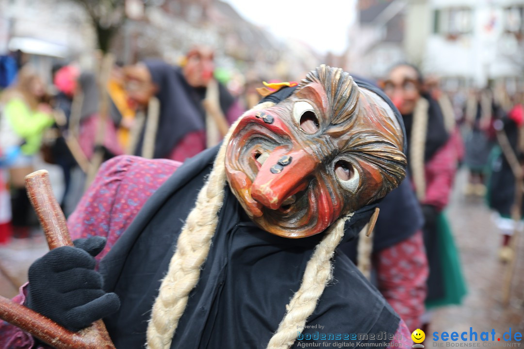 Fasnetsumzug - Fasching: Langenargen am Bodensee, 10.01.2016