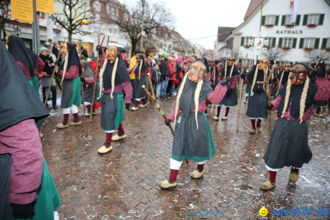 Fasnetsumzug - Fasching: Langenargen am Bodensee, 10.01.2016