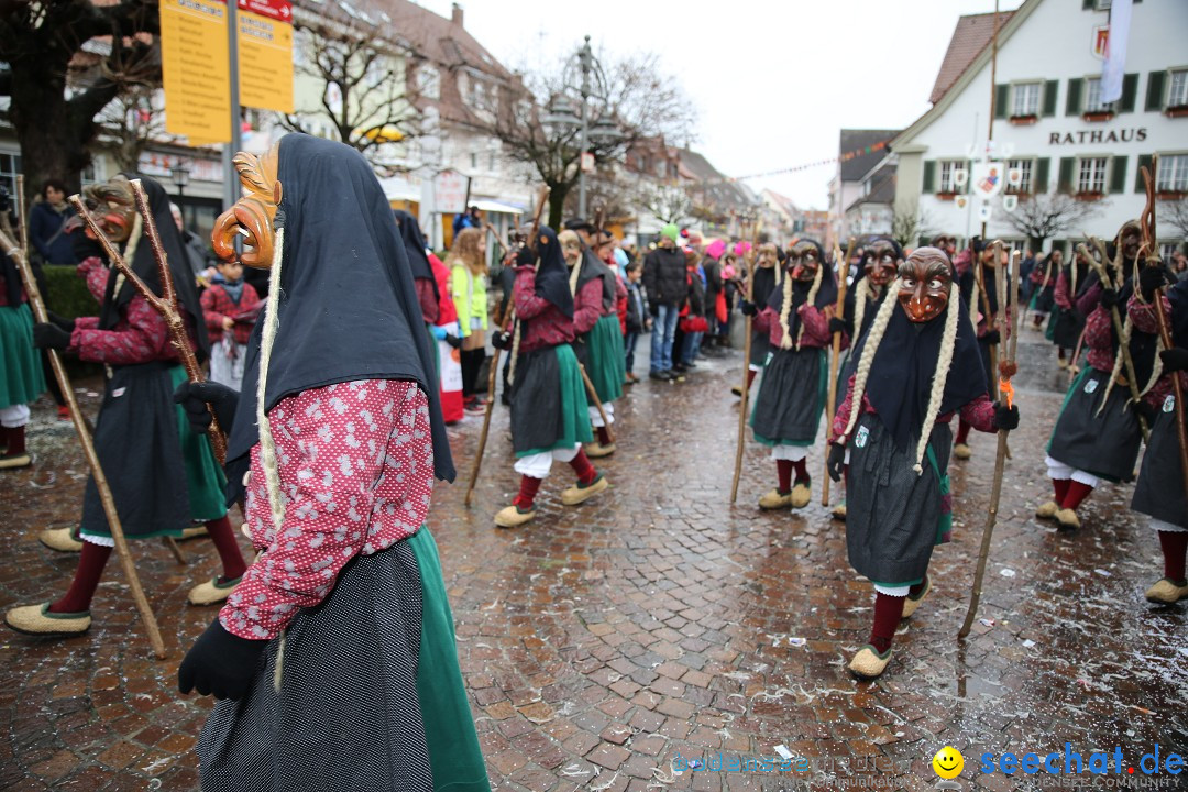 Fasnetsumzug - Fasching: Langenargen am Bodensee, 10.01.2016