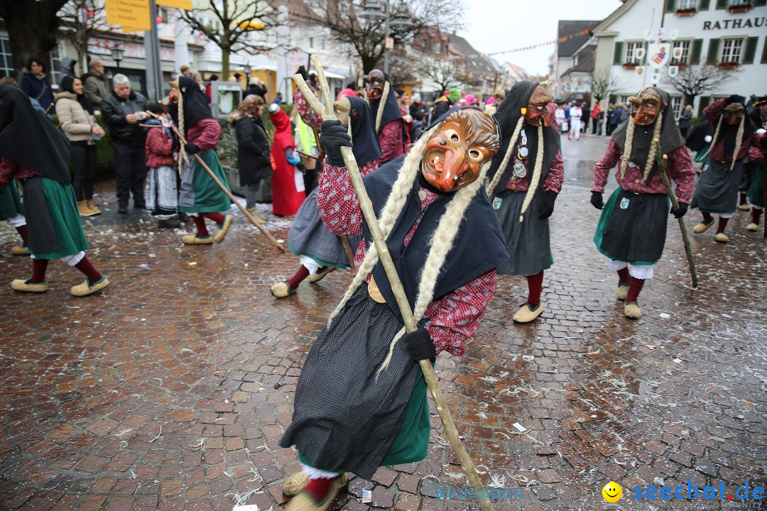 Fasnetsumzug - Fasching: Langenargen am Bodensee, 10.01.2016