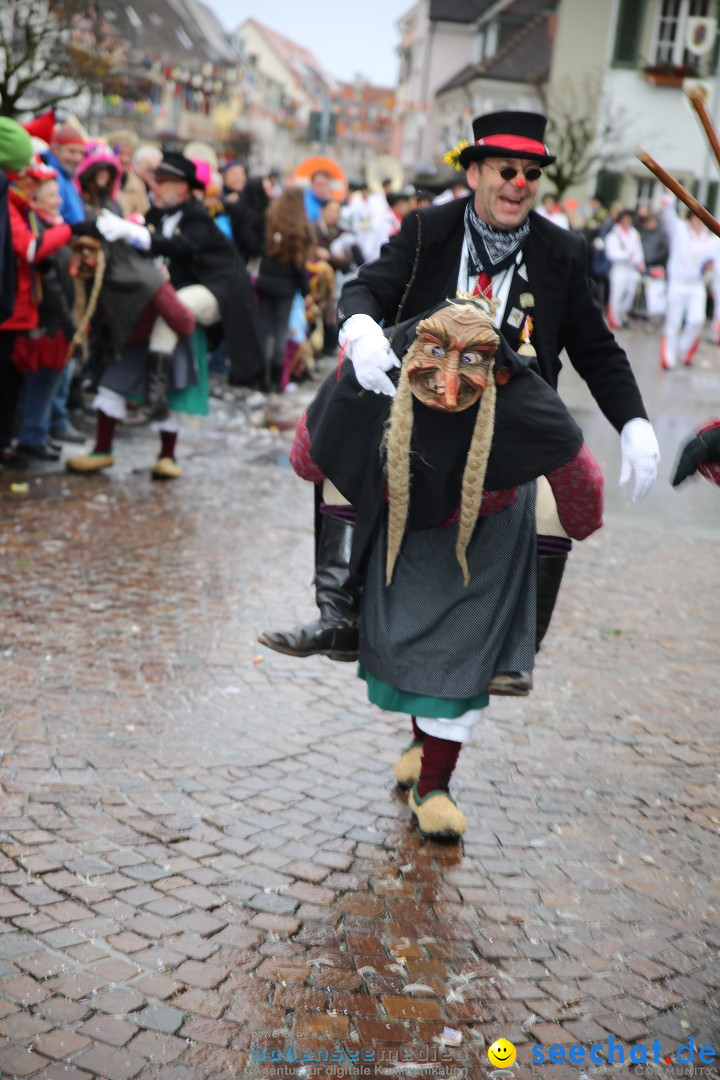 Fasnetsumzug - Fasching: Langenargen am Bodensee, 10.01.2016