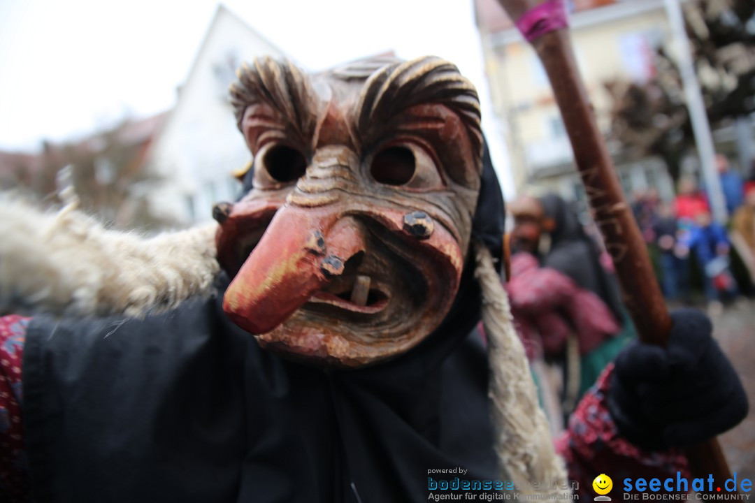 Fasnetsumzug - Fasching: Langenargen am Bodensee, 10.01.2016