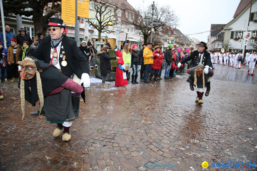 Fasnetsumzug - Fasching: Langenargen am Bodensee, 10.01.2016