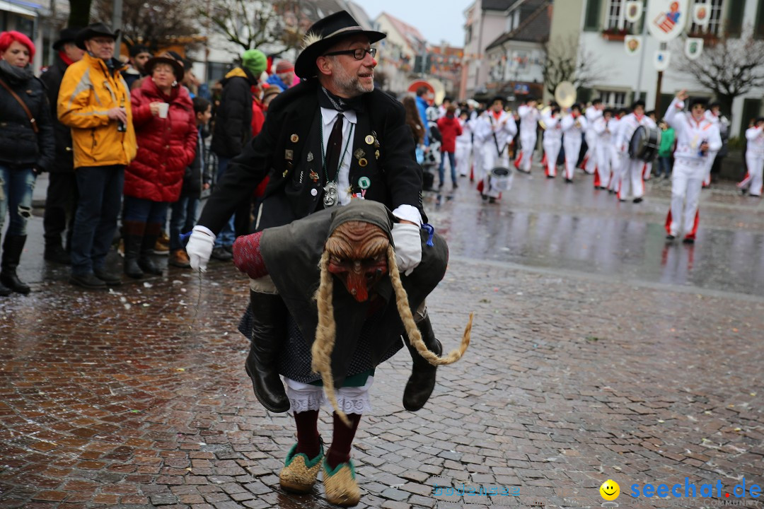 Fasnetsumzug - Fasching: Langenargen am Bodensee, 10.01.2016