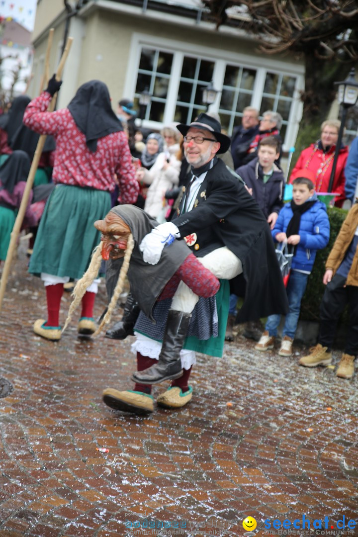 Fasnetsumzug - Fasching: Langenargen am Bodensee, 10.01.2016