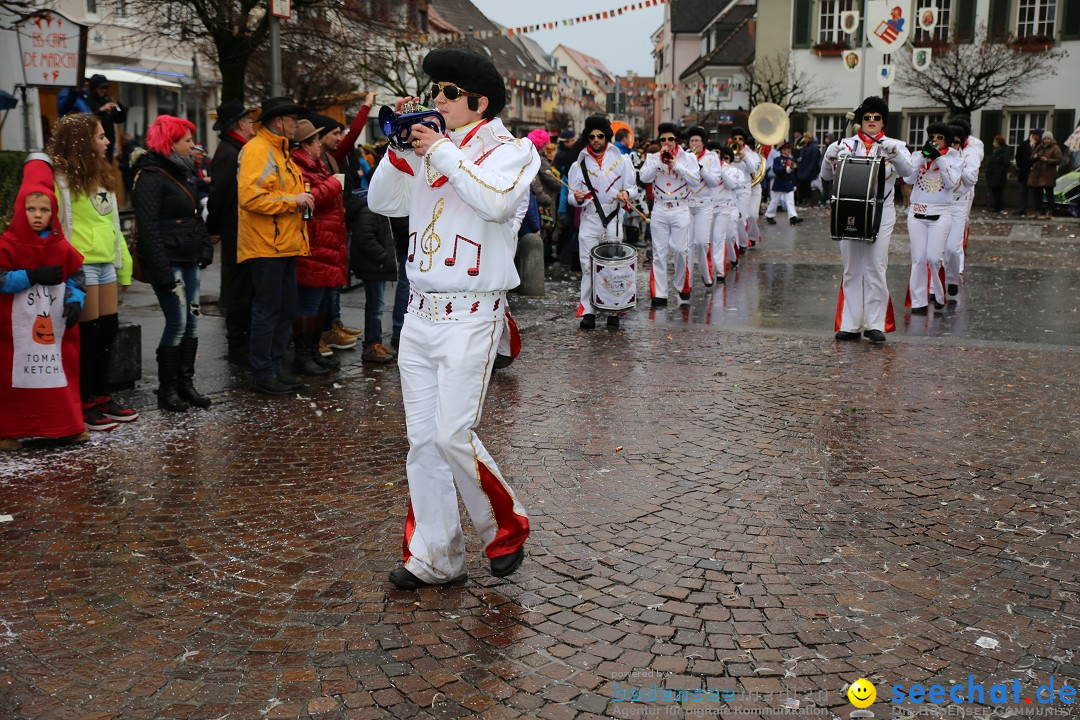 Fasnetsumzug - Fasching: Langenargen am Bodensee, 10.01.2016