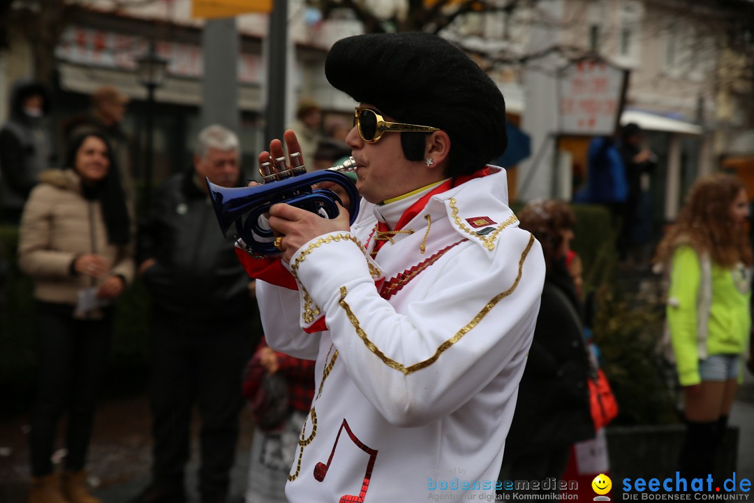 Fasnetsumzug - Fasching: Langenargen am Bodensee, 10.01.2016