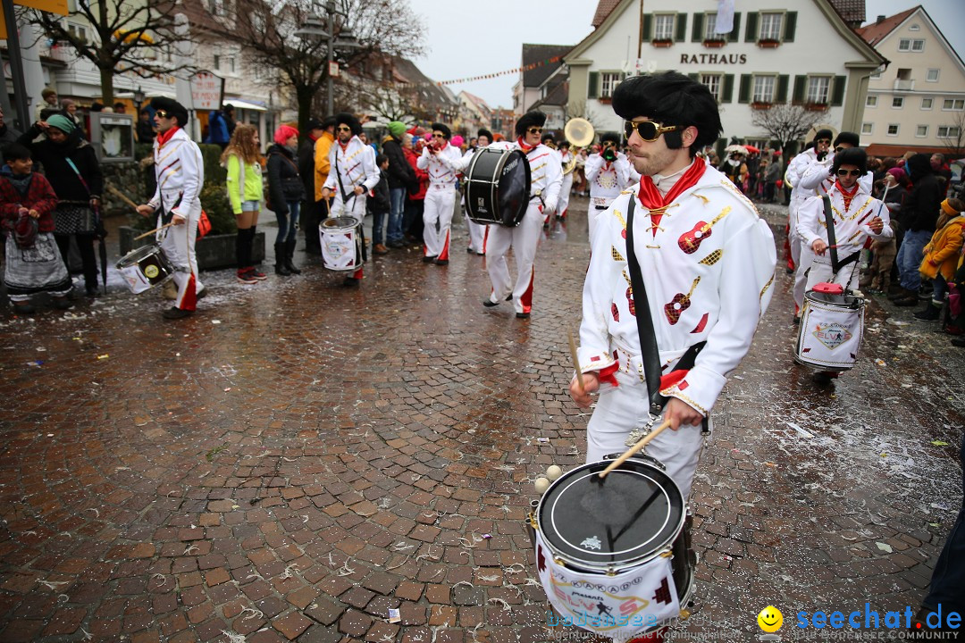 Fasnetsumzug - Fasching: Langenargen am Bodensee, 10.01.2016