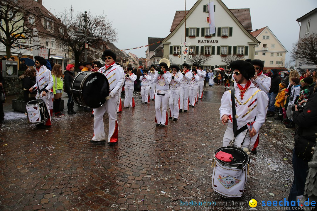 Fasnetsumzug - Fasching: Langenargen am Bodensee, 10.01.2016