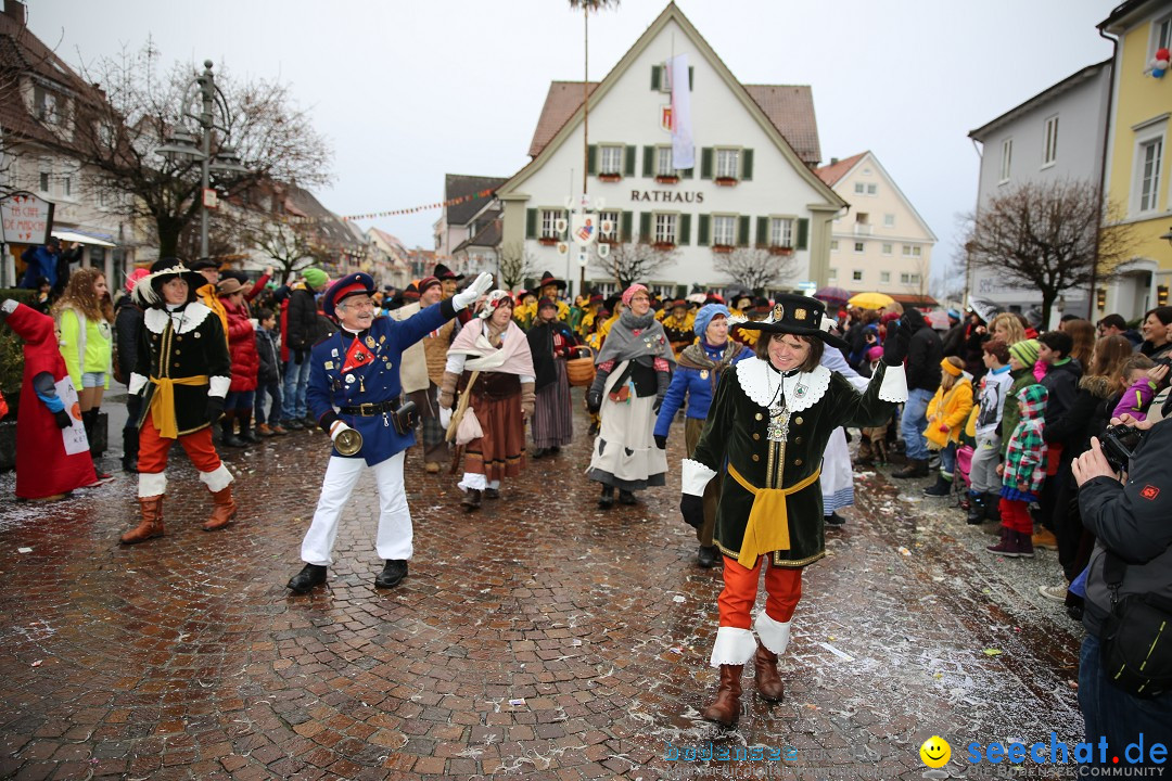 Fasnetsumzug - Fasching: Langenargen am Bodensee, 10.01.2016