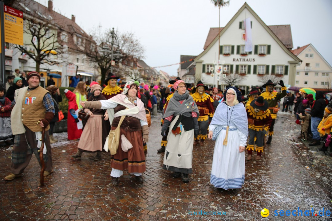 Fasnetsumzug - Fasching: Langenargen am Bodensee, 10.01.2016