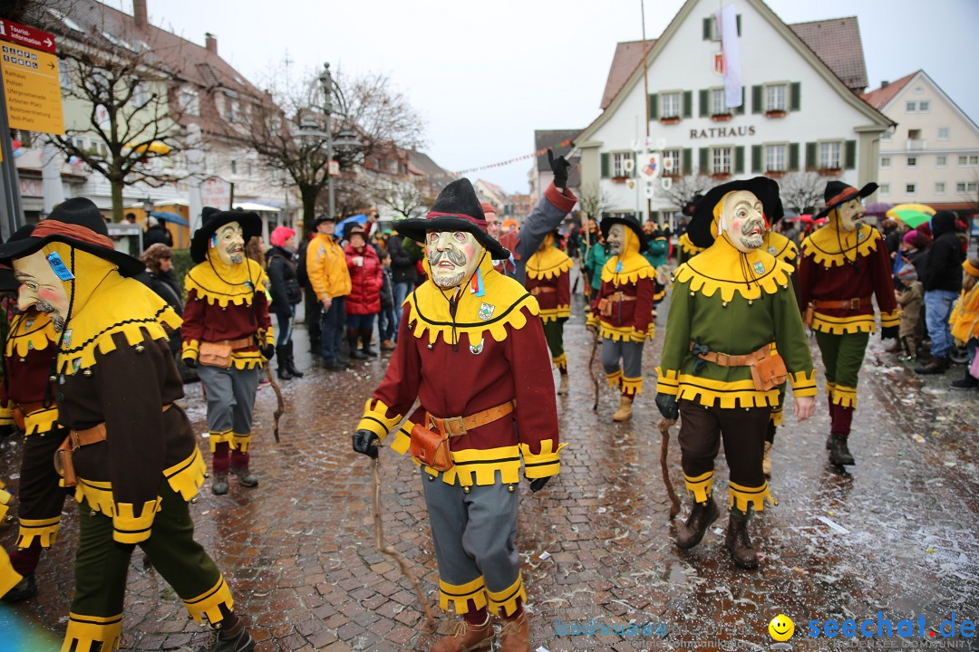 Fasnetsumzug - Fasching: Langenargen am Bodensee, 10.01.2016