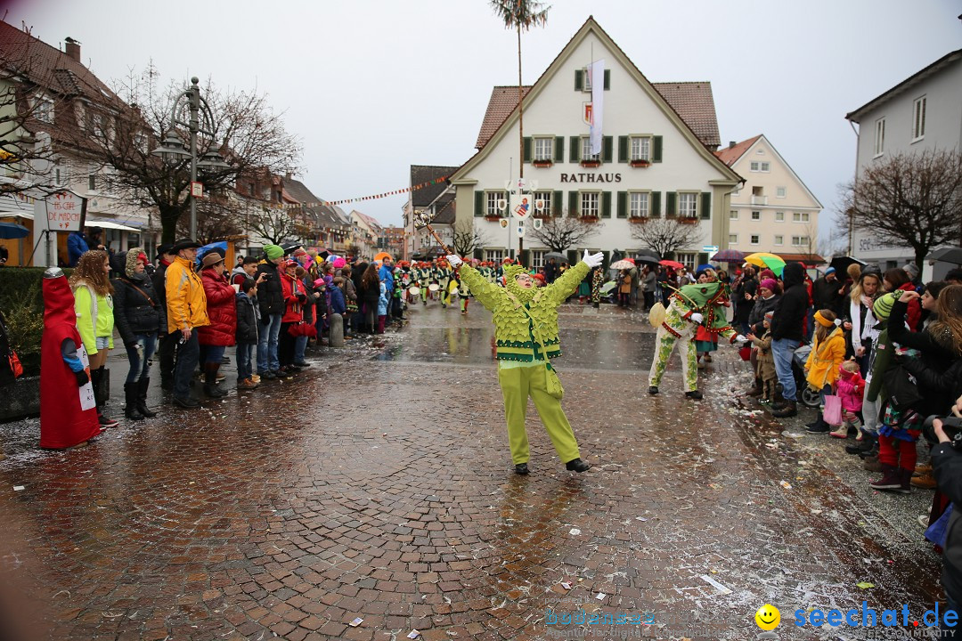 Fasnetsumzug - Fasching: Langenargen am Bodensee, 10.01.2016