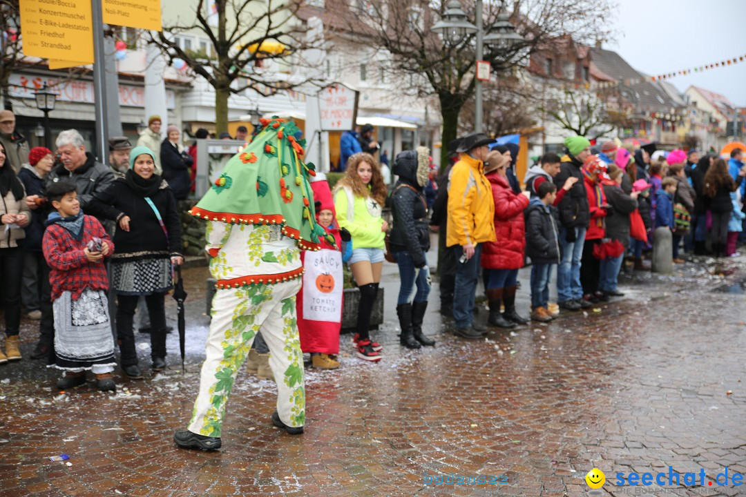 Fasnetsumzug - Fasching: Langenargen am Bodensee, 10.01.2016