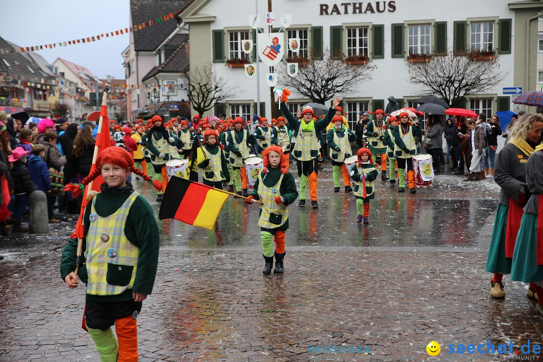 Fasnetsumzug - Fasching: Langenargen am Bodensee, 10.01.2016