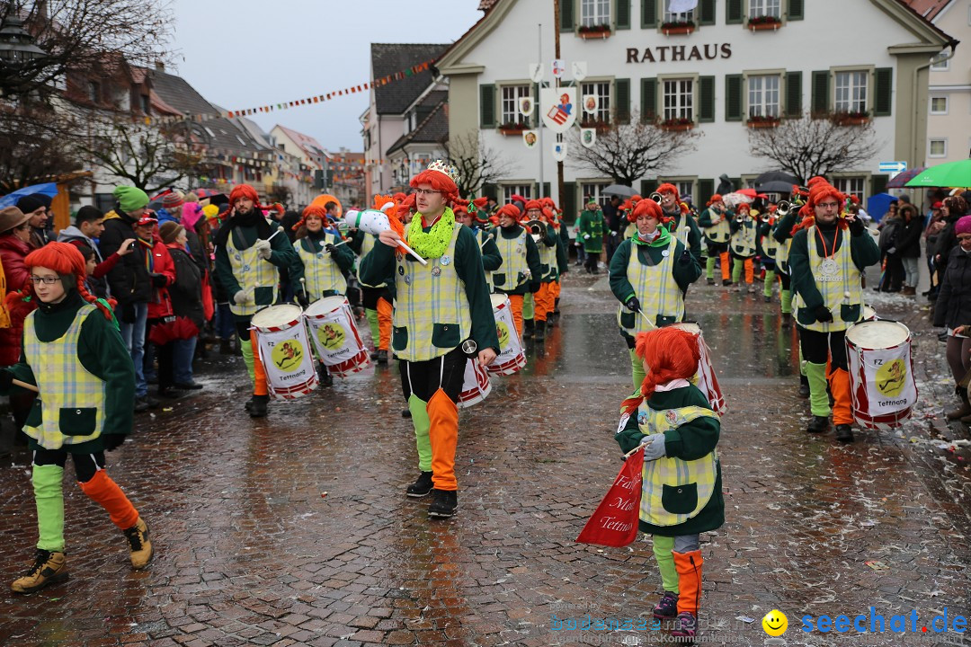 Fasnetsumzug - Fasching: Langenargen am Bodensee, 10.01.2016