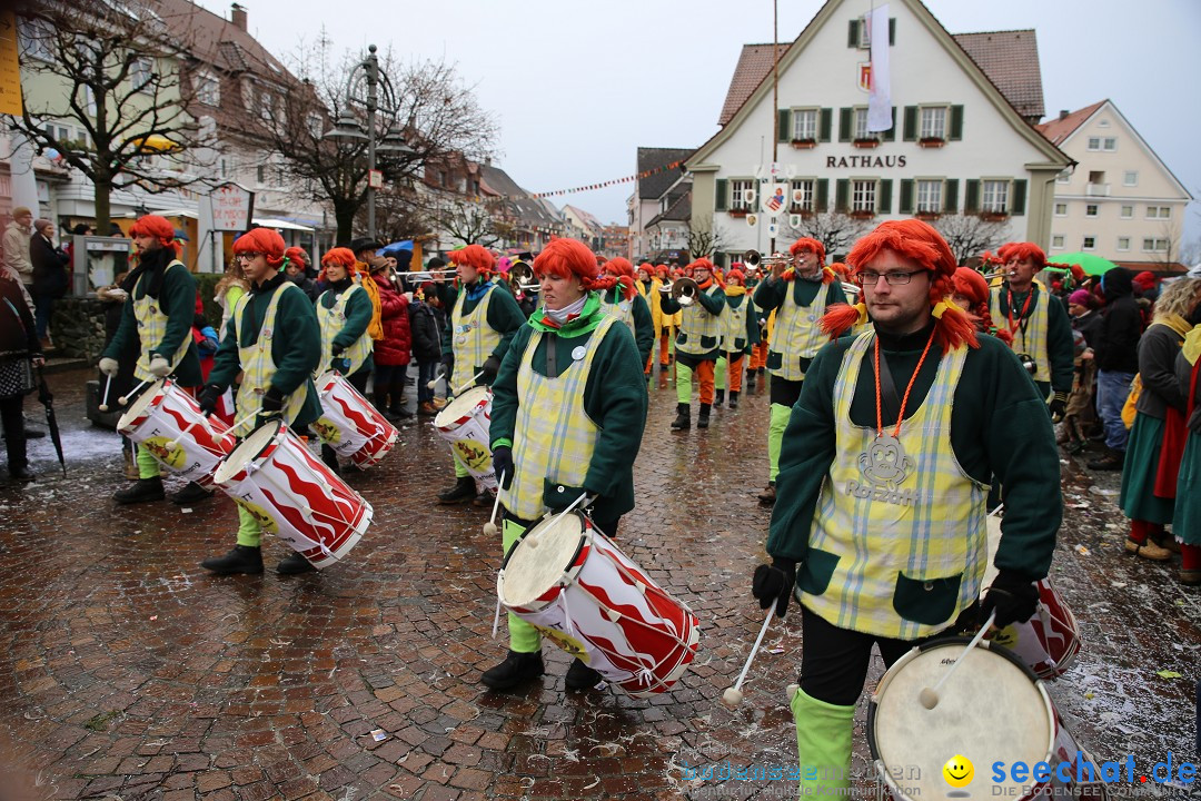 Fasnetsumzug - Fasching: Langenargen am Bodensee, 10.01.2016