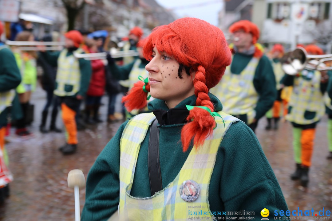 Fasnetsumzug - Fasching: Langenargen am Bodensee, 10.01.2016