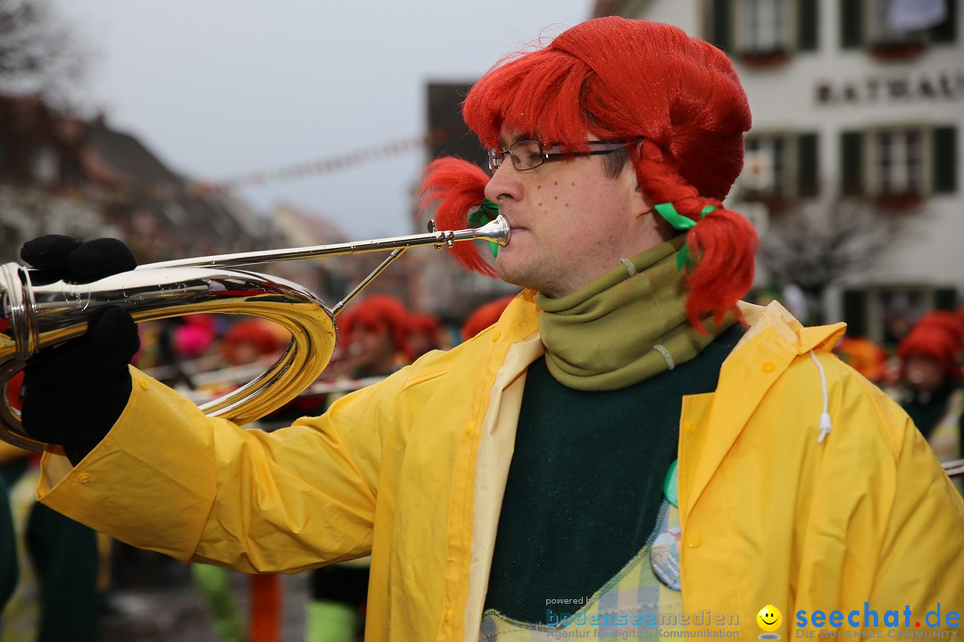 Fasnetsumzug - Fasching: Langenargen am Bodensee, 10.01.2016