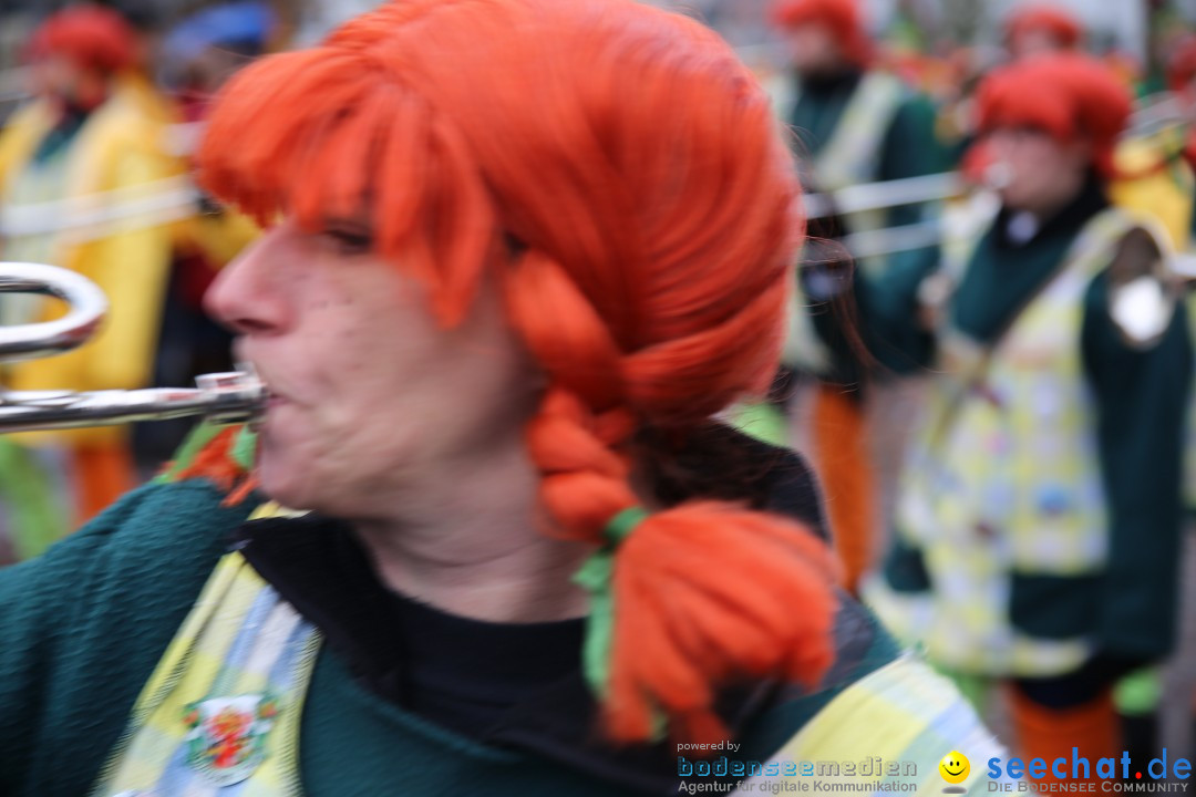 Fasnetsumzug - Fasching: Langenargen am Bodensee, 10.01.2016