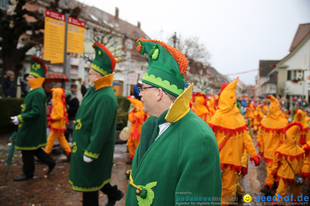 Fasnetsumzug - Fasching: Langenargen am Bodensee, 10.01.2016