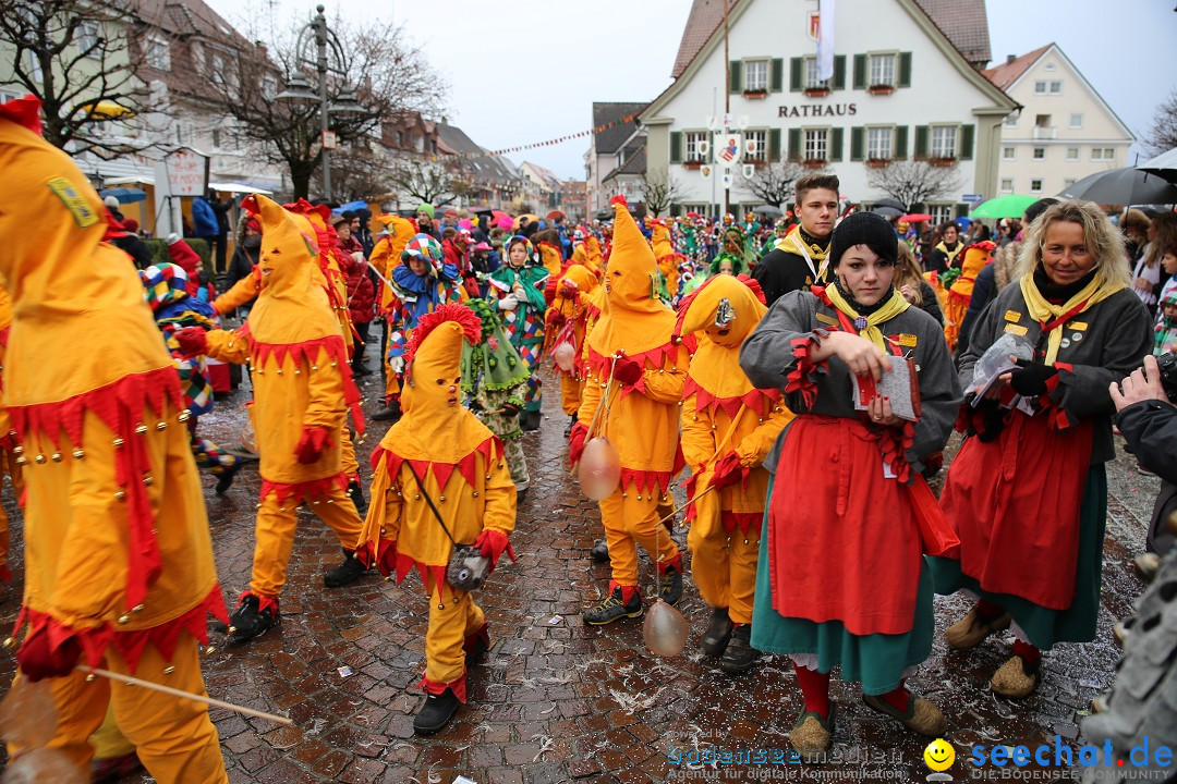 Fasnetsumzug - Fasching: Langenargen am Bodensee, 10.01.2016