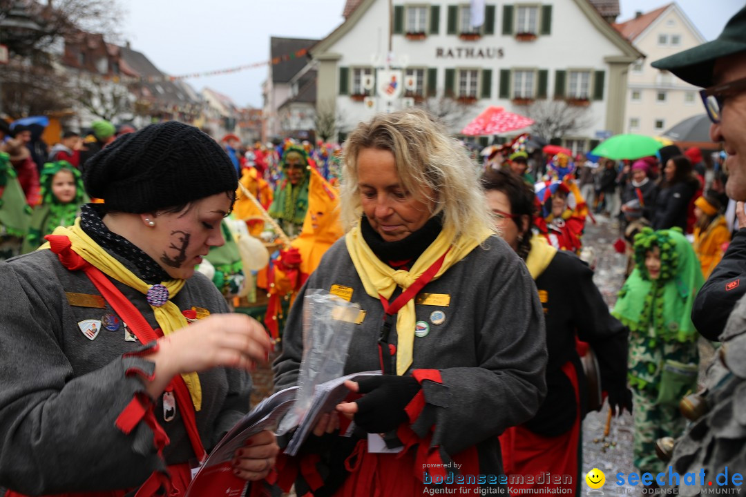 Fasnetsumzug - Fasching: Langenargen am Bodensee, 10.01.2016