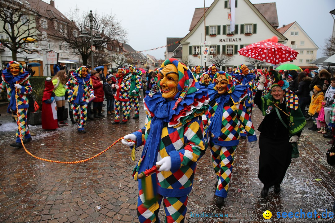 Fasnetsumzug - Fasching: Langenargen am Bodensee, 10.01.2016