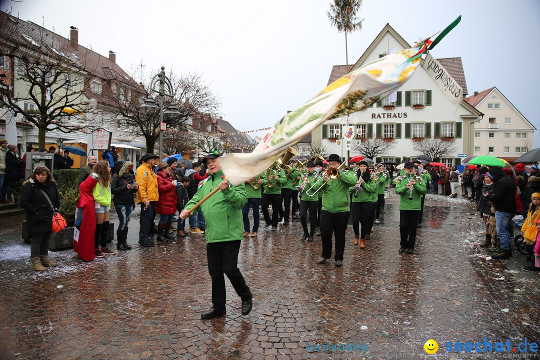 Fasnetsumzug - Fasching: Langenargen am Bodensee, 10.01.2016