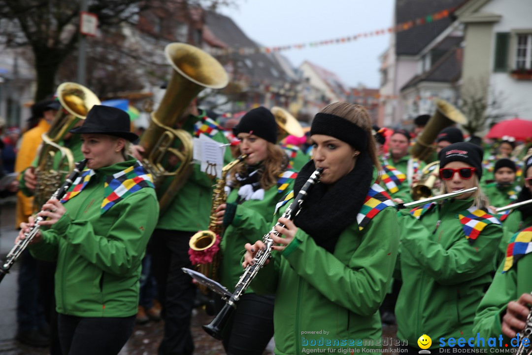 Fasnetsumzug - Fasching: Langenargen am Bodensee, 10.01.2016