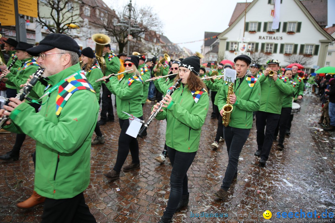 Fasnetsumzug - Fasching: Langenargen am Bodensee, 10.01.2016