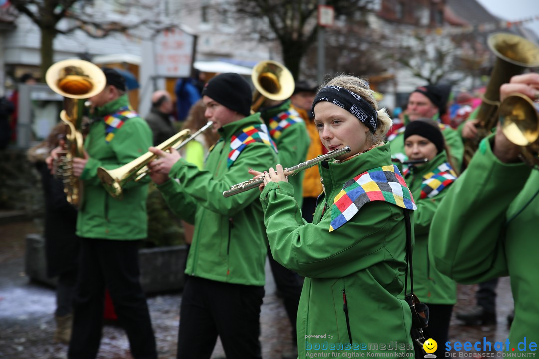 Fasnetsumzug - Fasching: Langenargen am Bodensee, 10.01.2016