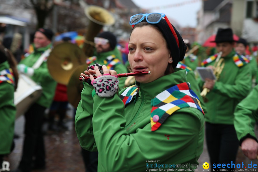 Fasnetsumzug - Fasching: Langenargen am Bodensee, 10.01.2016