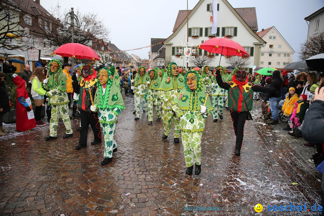 Fasnetsumzug - Fasching: Langenargen am Bodensee, 10.01.2016