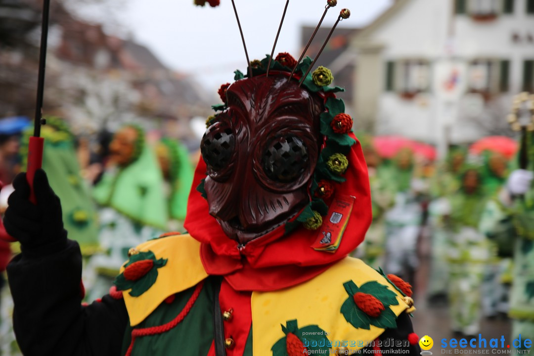 Fasnetsumzug - Fasching: Langenargen am Bodensee, 10.01.2016