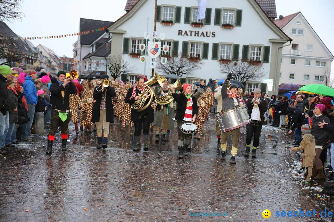 Fasnetsumzug - Fasching: Langenargen am Bodensee, 10.01.2016