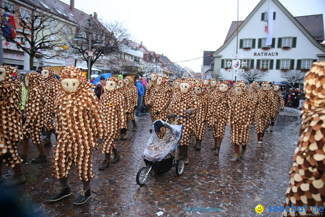 Fasnetsumzug - Fasching: Langenargen am Bodensee, 10.01.2016