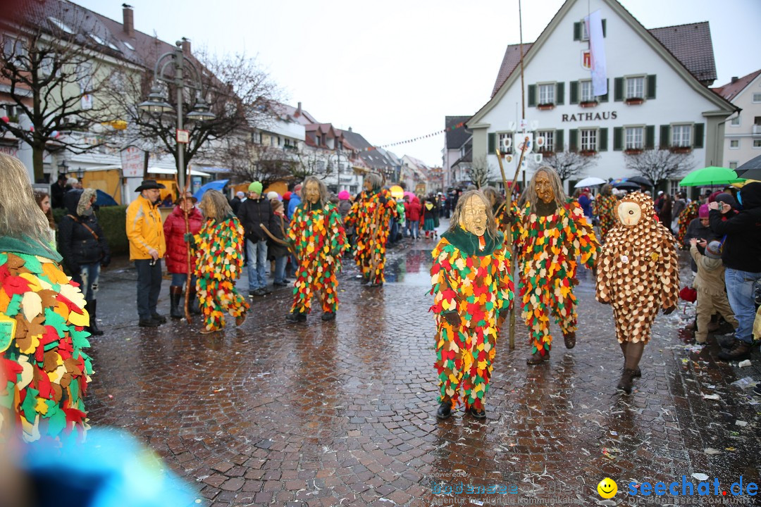 Fasnetsumzug - Fasching: Langenargen am Bodensee, 10.01.2016