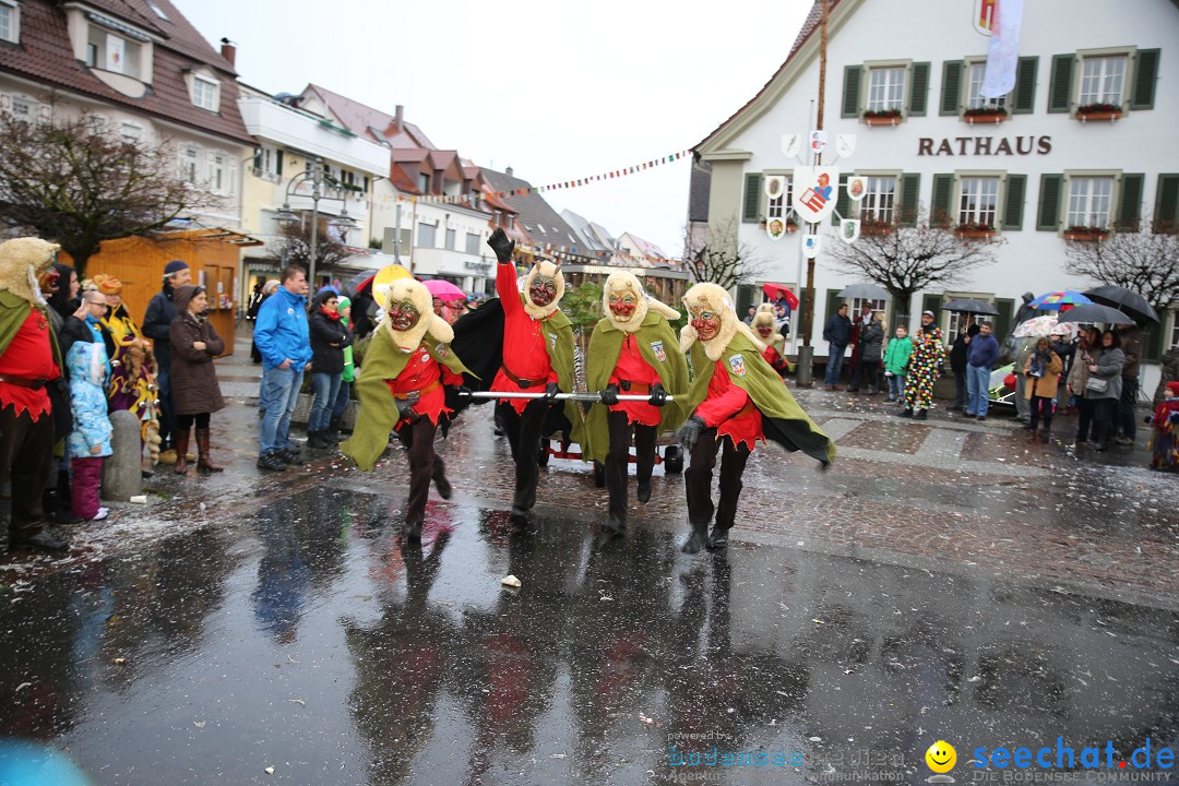 Fasnetsumzug - Fasching: Langenargen am Bodensee, 10.01.2016