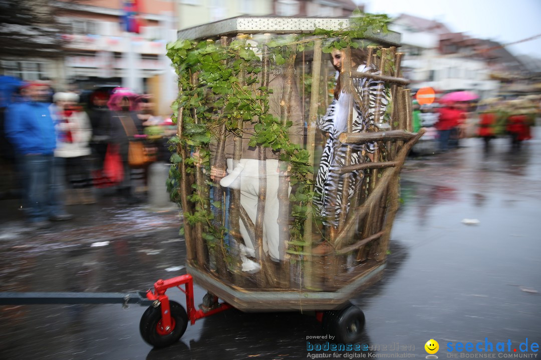 Fasnetsumzug - Fasching: Langenargen am Bodensee, 10.01.2016